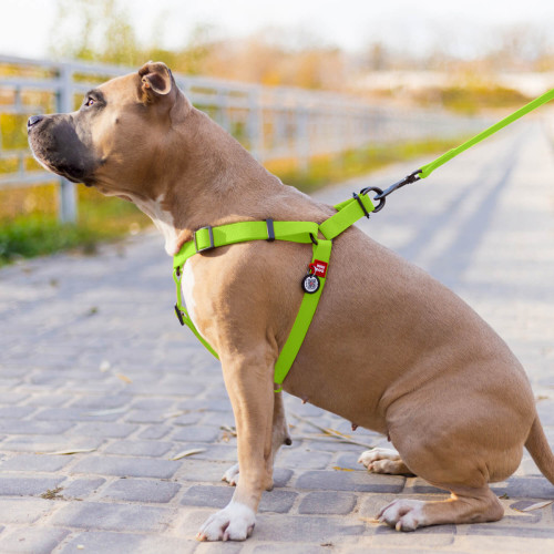 Шлея для собак водостійка WAUDOG Waterproof з металевим фастексом "Салатова"