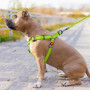 Шлея для собак водостійка WAUDOG Waterproof з металевим фастексом "Салатова"