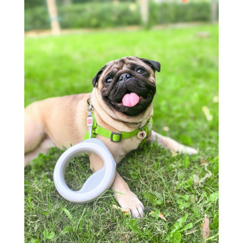 Шлея для собак водостійка WAUDOG Waterproof з металевим фастексом "Салатова"