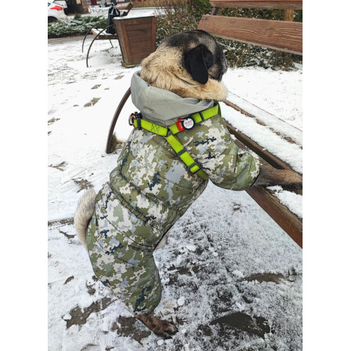 Шлея для собак водостійка WAUDOG Waterproof з металевим фастексом "Салатова"