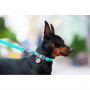Світонакоплювальний нашийник для собак WAUDOG Waterproof з пластиковою пряжкою-фастекс