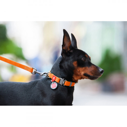 Нашийник для собак водостійкий WAUDOG Waterproof з QR-паспортом помаранчевого кольору