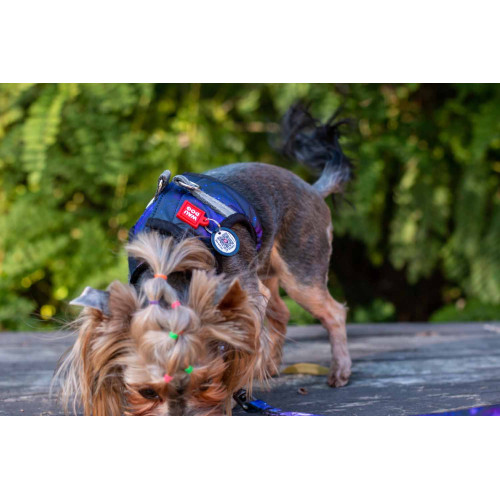 М'яка шлея для собак WAUDOG Clothes малюнок "NASA21" з QR пасaпортом