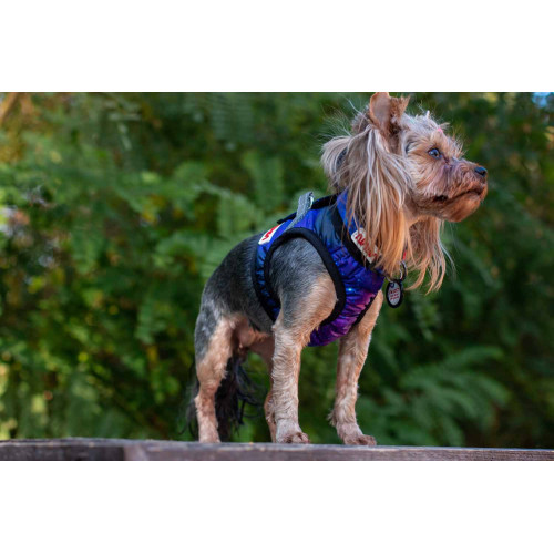 М'яка шлея для собак WAUDOG Clothes малюнок "NASA21" з QR пасaпортом