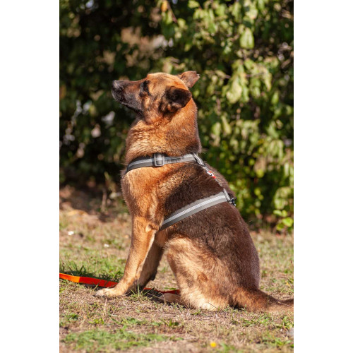 Шлея для собак Н-подібна світловідбивна WAUDOG Waterproof колір "Сірий"