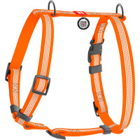 Шлея для собак Н-образная светоотражающая WAUDOG Waterproof цвет "Оранжевый"