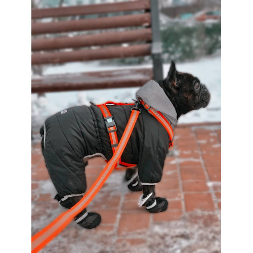 Шлея для собак Н-подібна світловідбивна WAUDOG Waterproof колір "Помаранчевий"