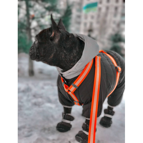 Шлея для собак Н-подібна світловідбивна WAUDOG Waterproof колір "Помаранчевий"