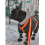 Шлея для собак Н-подібна світловідбивна WAUDOG Waterproof колір "Помаранчевий"