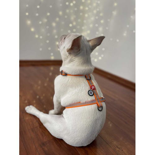 Шлея для собак Н-подібна світловідбивна WAUDOG Waterproof колір "Помаранчевий"