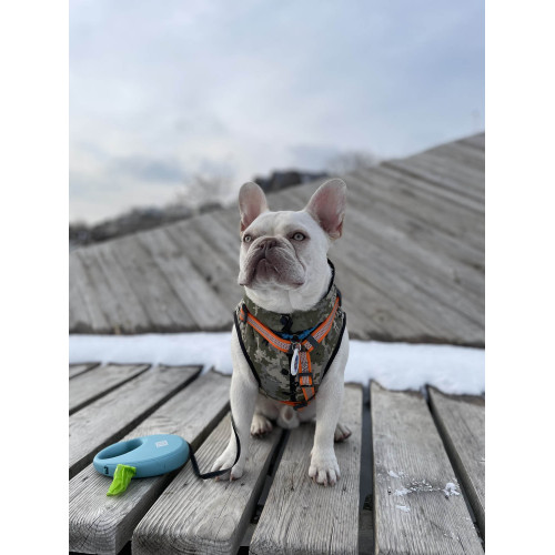 Шлея для собак Н-подібна світловідбивна WAUDOG Waterproof колір "Помаранчевий"