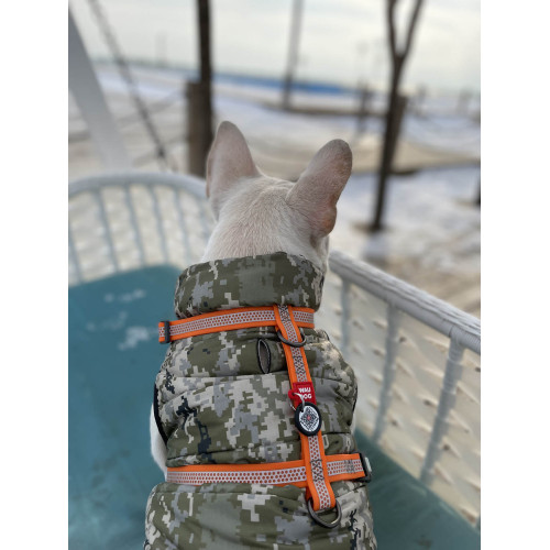 Шлея для собак Н-подібна світловідбивна WAUDOG Waterproof колір "Помаранчевий"