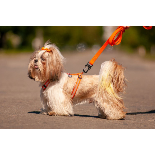 Шлея для собак Н-подібна світловідбивна WAUDOG Waterproof колір "Помаранчевий"