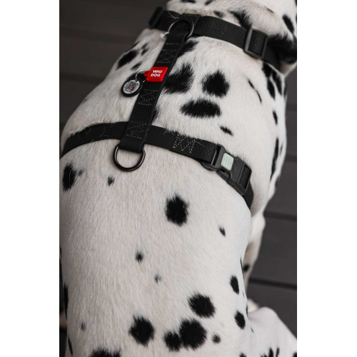 Шлея для собак Н-образная водостойкая WAUDOG Waterproof цвет "Черный"