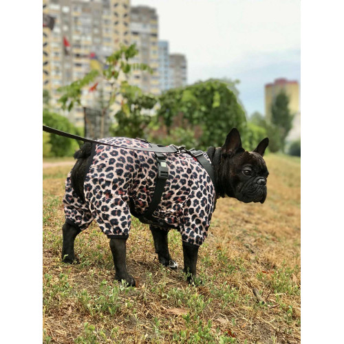 Шлея для собак Н-образная водостойкая WAUDOG Waterproof цвет "Черный"