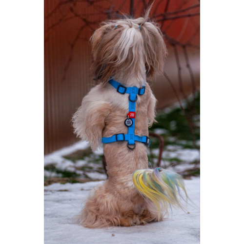 Шлея для собак Н-образная водостойкая WAUDOG Waterproof цвет "Голубой"