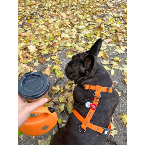 Шлея для собак Н-образная водостойкая WAUDOG Waterproof цвет "Оранжевый"