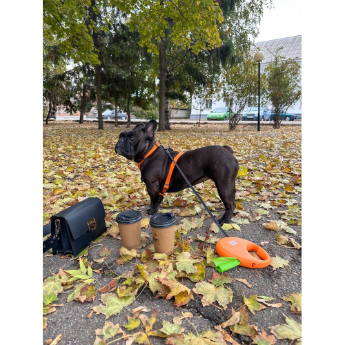 Шлея для собак Н-образная водостойкая WAUDOG Waterproof цвет "Оранжевый"