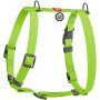 Шлея для собак Н-образная водостойкая WAUDOG Waterproof цвет "Салатовый"