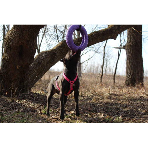 Шлея для собак Н-образная водостойкая WAUDOG Waterproof цвет "Розовый"