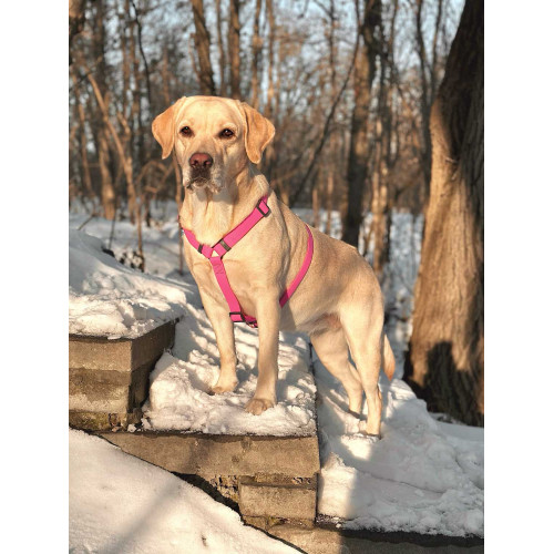 Шлея для собак Н-образная водостойкая WAUDOG Waterproof цвет "Розовый"