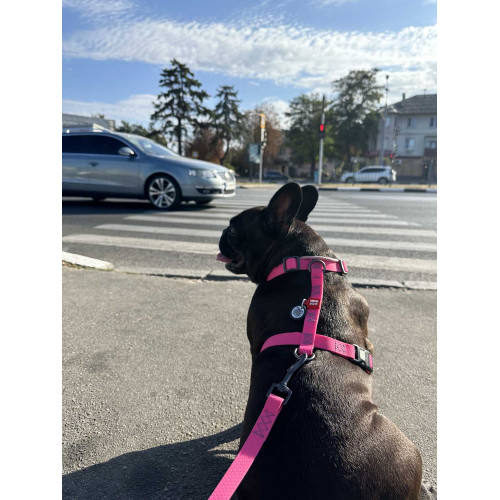 Шлея для собак Н-образная водостойкая WAUDOG Waterproof цвет "Розовый"