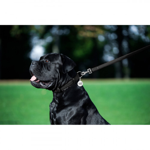 Шкіряний повідець для собак WauDog Glamour чорного кольору, 122 см