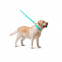 Шкіряний повідець для собак WauDog Glamour ментолового кольору, 122 см