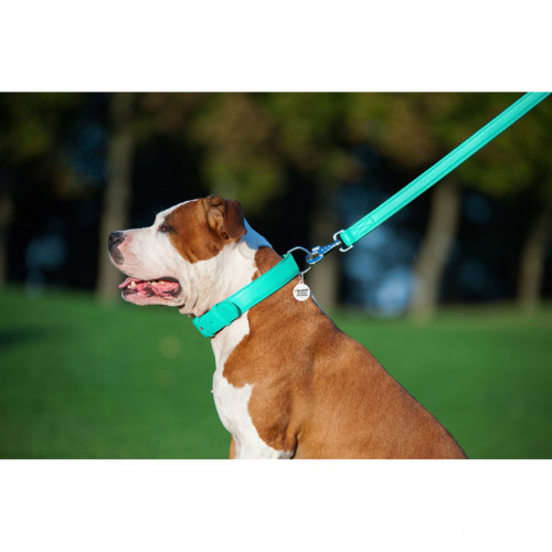Кожаный поводок для собак WauDog Glamour ментолового цвета, 122 см