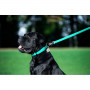 Шкіряний повідець для собак WauDog Glamour ментолового кольору, 122 см
