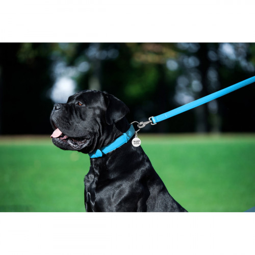 Кожаный поводок для собак WauDog Glamour голубого цвета, 122 см