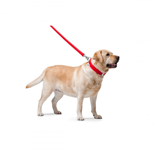 Кожаный поводок для собак WauDog Glamour красного цвета, 122 см