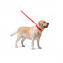Кожаный поводок для собак WauDog Glamour красного цвета, 122 см