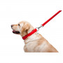 Шкіряний повідець для собак WauDog Glamour червоного кольору, 122 см