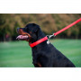 Шкіряний повідець для собак WauDog Glamour червоного кольору, 122 см
