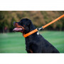 Кожаный поводок для собак WauDog Glamour оранжевого цвета, 122 см
