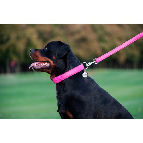 Кожаный поводок для собак WauDog Glamour розового цвета, 122 см