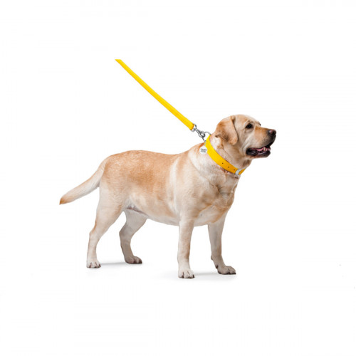 Кожаный поводок для собак WauDog Glamour жёлтого цвета, 122 см