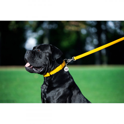 Шкіряний повідець для собак WauDog Glamour жовтого кольору, 122 см