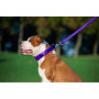 Шкіряний повідець для собак WauDog Glamour фіолетового кольору, 122 см