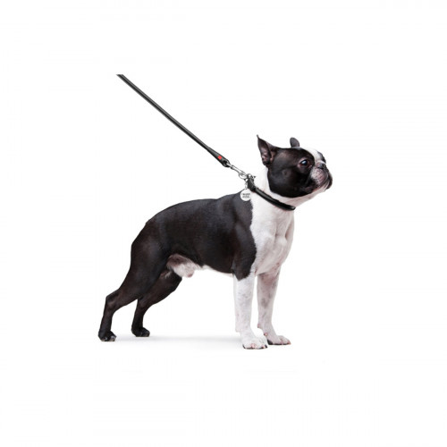 Круглый кожаный поводок для собак WauDog Glamour чёрного цвета, 122 см