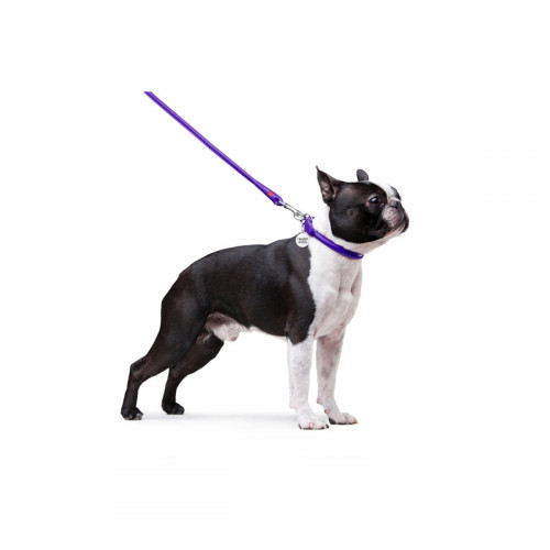 Круглий шкіряний повідець для собак WauDog Glamour фіолетового кольору, 122 см