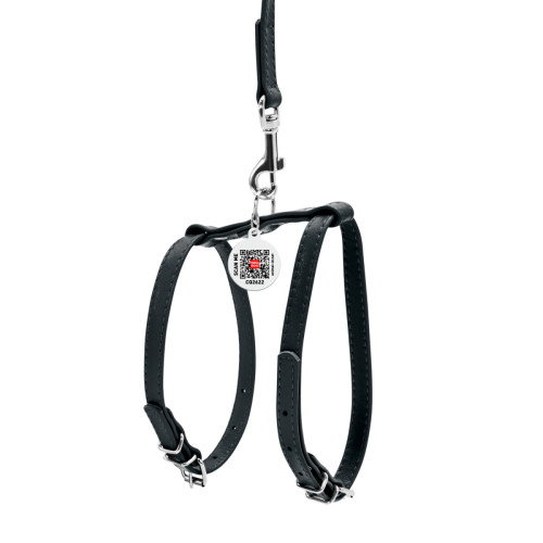 Шкіряна шлея WAUDOG Glamour з повідцем для котів і дрібних собак Чорна
