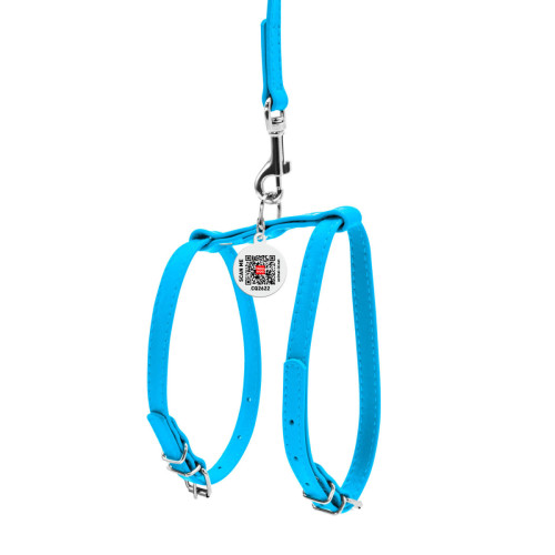 Шкіряна шлея WAUDOG Glamour з повідцем для котів і дрібних собак Блакитна