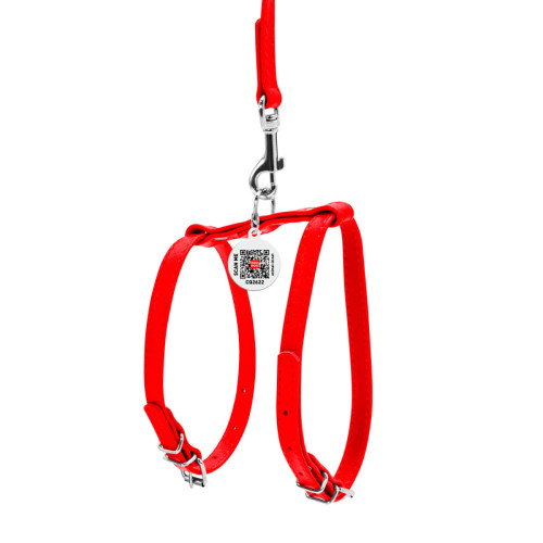 Шкіряна шлея WAUDOG Glamour з повідцем для котів і дрібних собак Червона