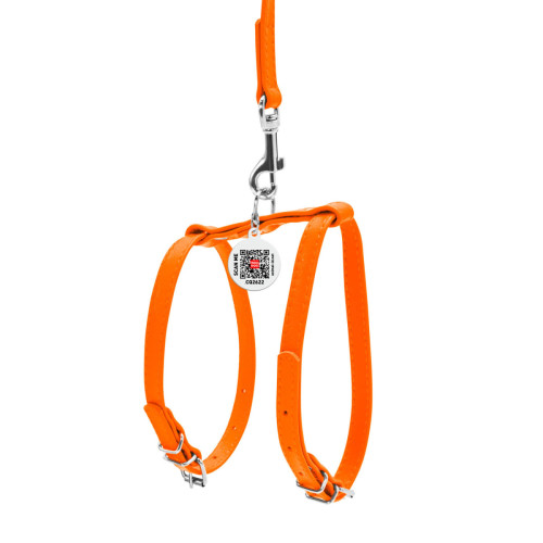 Шкіряна шлея WAUDOG Glamour з повідцем для котів і дрібних собак Помаранчева