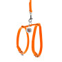 Шкіряна шлея WAUDOG Glamour з повідцем для котів і дрібних собак Помаранчева