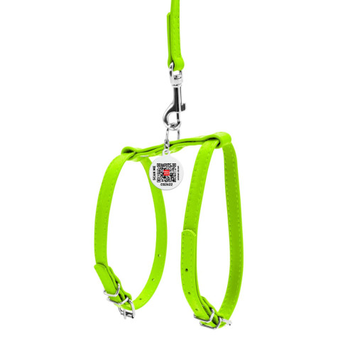 Шкіряна шлея WAUDOG Glamour з повідцем для котів і дрібних собак Лайм