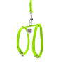 Шкіряна шлея WAUDOG Glamour з повідцем для котів і дрібних собак Лайм