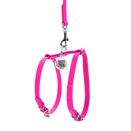 Шкіряна шлея WAUDOG Glamour з повідцем для котів і дрібних собак Рожева